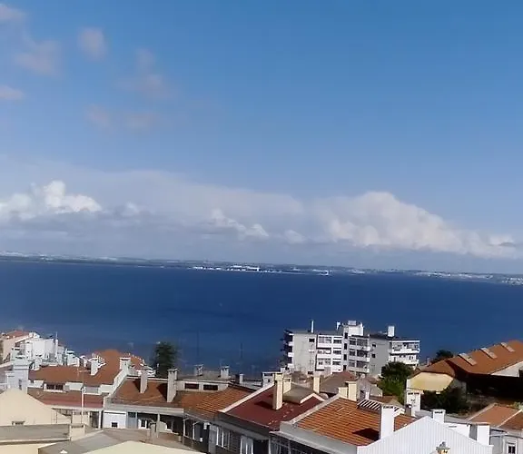 Gaivotas Do Tejo